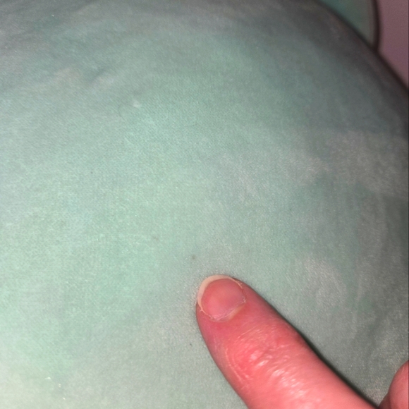 Squishmallows 14" Jules the Cat Plush - Picture 6 of 11